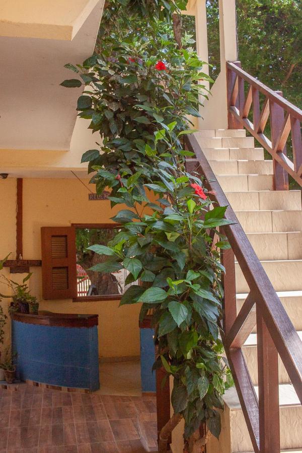 Portadosoljeri Hotel จีโจกา จี เจรีกวากวารา ภายนอก รูปภาพ