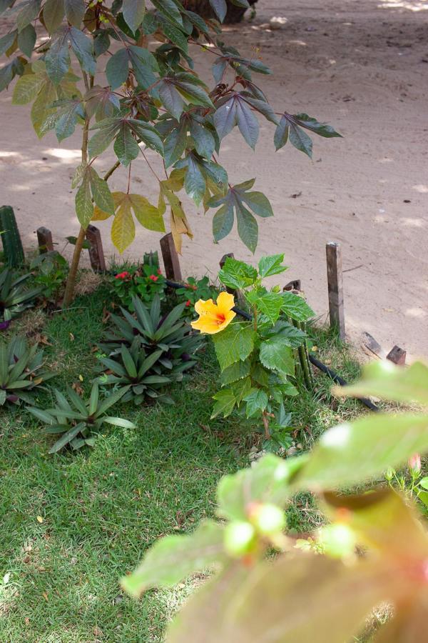 Portadosoljeri Hotel จีโจกา จี เจรีกวากวารา ภายนอก รูปภาพ